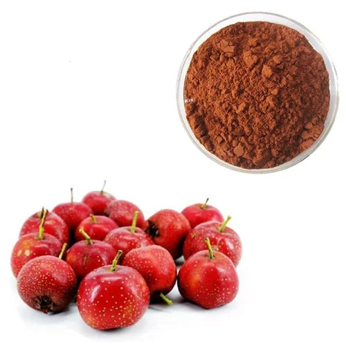 Benefits of Hawthorn Dry Extract