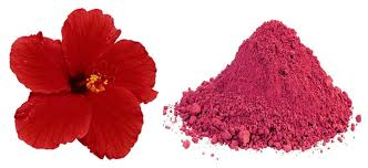 What is Gudhal (Hibiscus sabdariffa) dry extract?