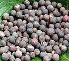 Benefits of Viavidanga or Embelia ribes Dry Extract