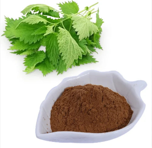 What are Nettle leaves (Urtica dioica)?