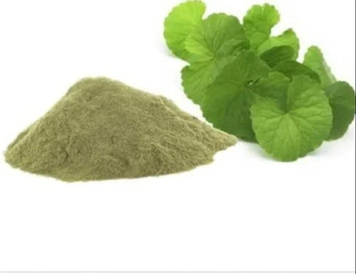 Benefits of Bacopa ( Brahmi) Dry Extract