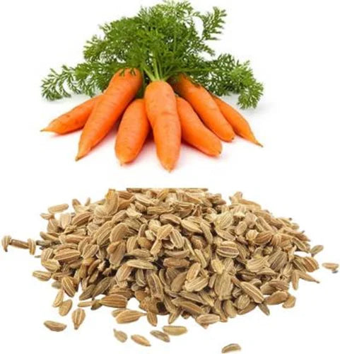 What is gajjar seed dry extract?
