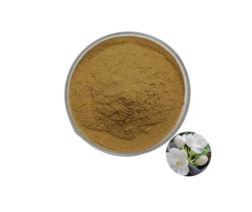 Benefits and Uses of Chameli (Jasmine)