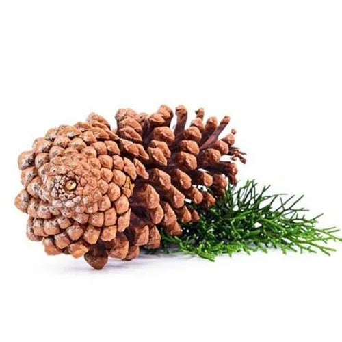 Health benefits of devdar dry extract