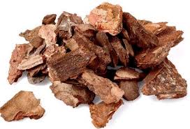 What is Pine bark dry extract?