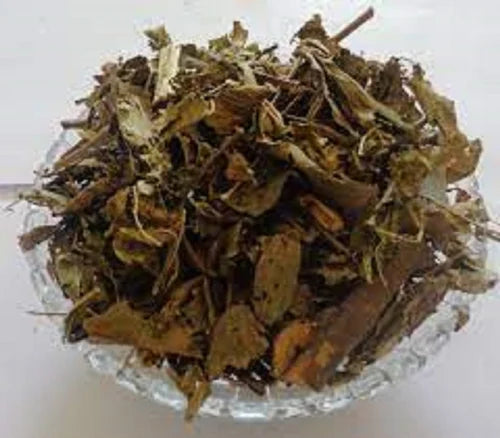 What is Gandhaprasarni?