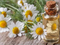 What is Chamomile Oil used for?