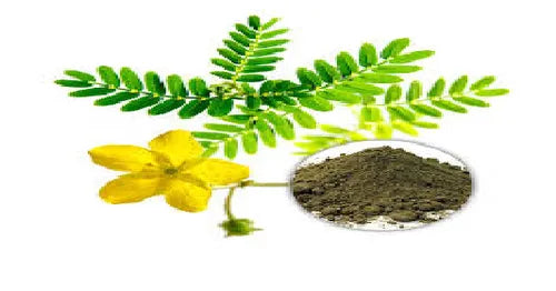 Benefits of Gokhru dry extract (Tribulus terrestris)