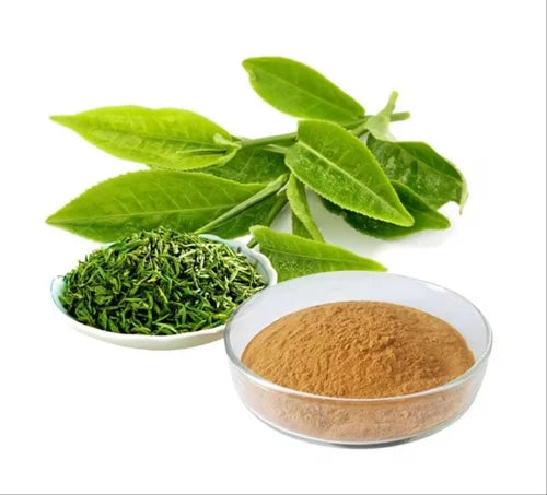 Benefits of Green Tea extract