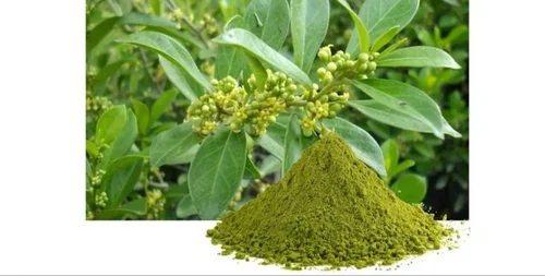 Benefits of Gurmala – Adorreal Healthcare
