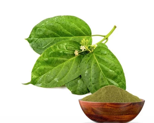 Benefits of Gymnema Dry Extract