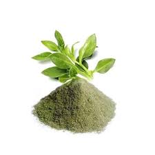 What is Kalmegh or Andrographis paniculata?