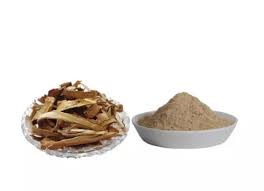 What is Kutaj or Holarrhena antidysenterica?