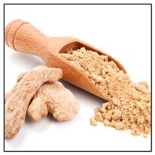 Benefits of Saunth or dried ginger (Zingiber officinale), dry extract