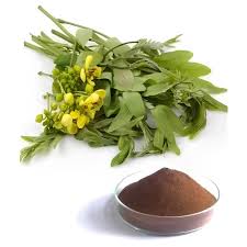What is Senna (Senna alexandrina) dry extract?