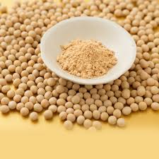 Benefits of Soya Seed (Glycine max) dry extract