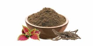What is Coleus (Coleus forskohlii) Dry Extract?