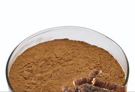 What is Ulat Kambhal dry extract?