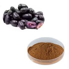 Benefits of Jamun Dry Extract