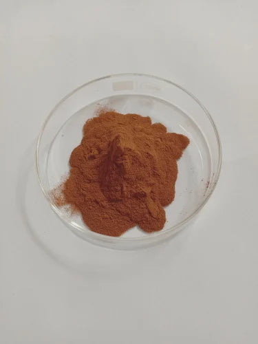 What is chitrak mool (Plumbago zeylanica)?