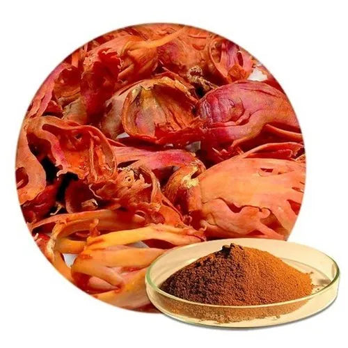 Benefits of Jawitri Dry Extract