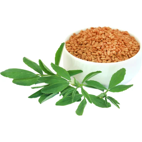 Benefits of methi dry extract