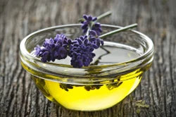 Benefits of Lavender Oil