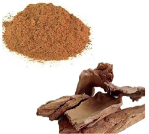 Benefits of Lodhra or Symplocos racemosa