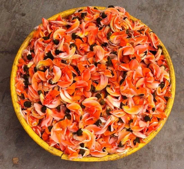 What is Kakar Singhi or Butea frondosa?