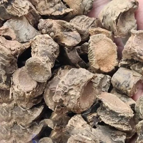 What is Pasanbehd or Eriocauulon hookerianum dry extract?