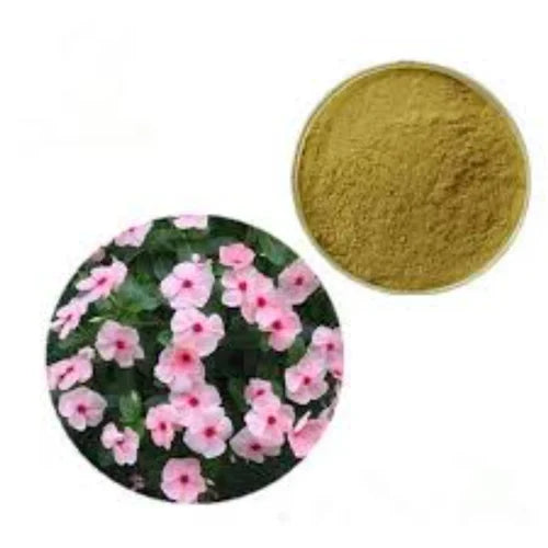 Benefits of Sadabhar dry extract