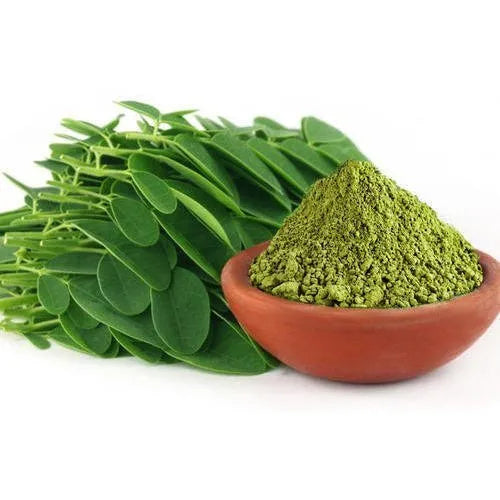 Benefits of moringa dry extract