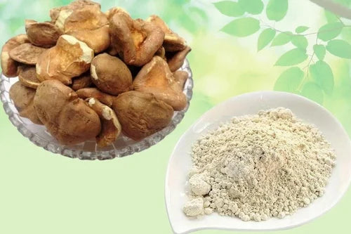 What is Singhara dry extract?