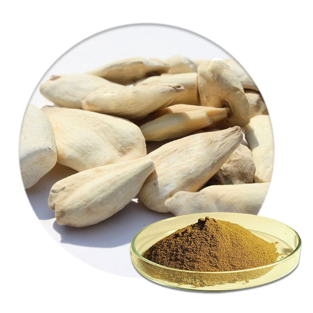 What is Suranjan or  Psyllium or Plantago ovata?