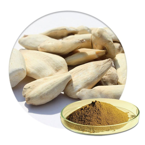 What is Suranjan or  Psyllium or Plantago ovata?