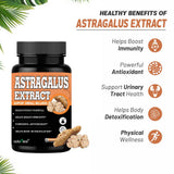 Astragalus Root Extract Caps — 2