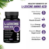 Adorreal L-Leucine Amino Acid Supplement, 60 Capsules, High Potency Formula for Muscle Health and Recovery — 2