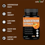 Sea Buckthorn Extract  -60 Capsules — 3