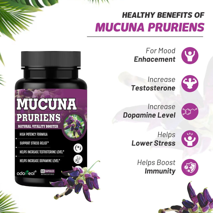 Adorreal Mucuna Pruriens Kaunch Beej Extrac– Natural L-DOPA Source – Supports Mood, Vitality & Testosterone – 60  Capsules