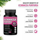 Echinacea Purpurea extract – 60 Capsules — 3