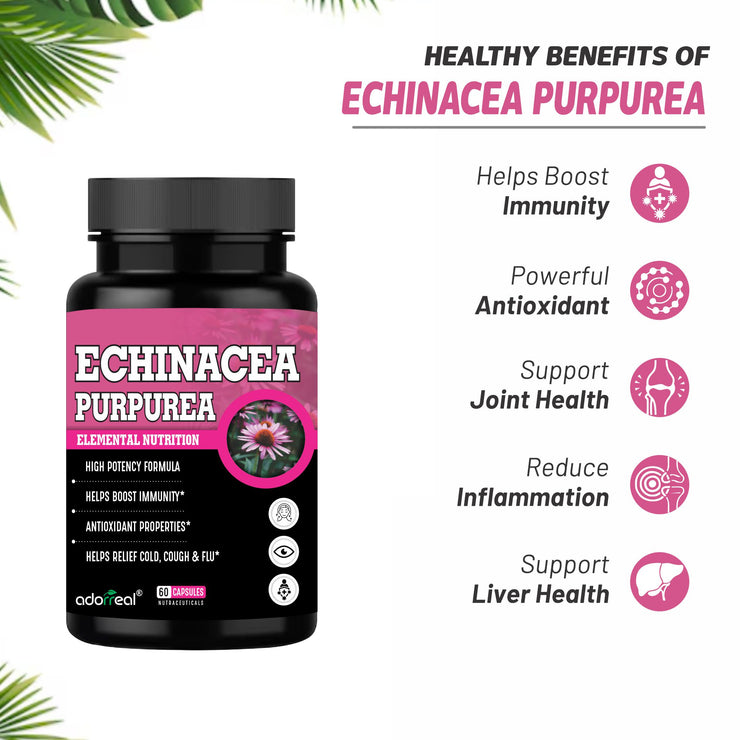 Echinacea  Extract – 60 Capsules