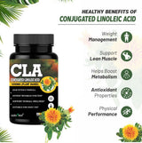 CLA Conjugated Linoleic Acid -60 capsules — 2