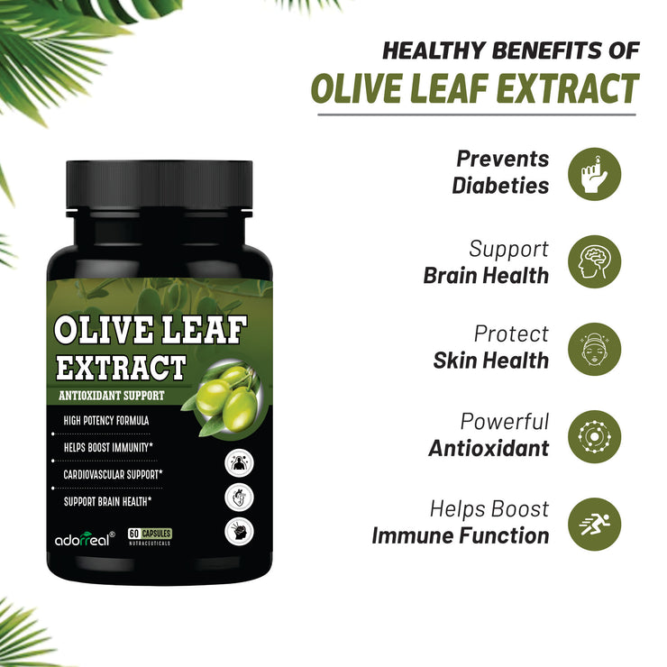 Olive Leaf Extract Supports Healthy Immune, Skin Health (Oleuropein20%)- 60 Capsules