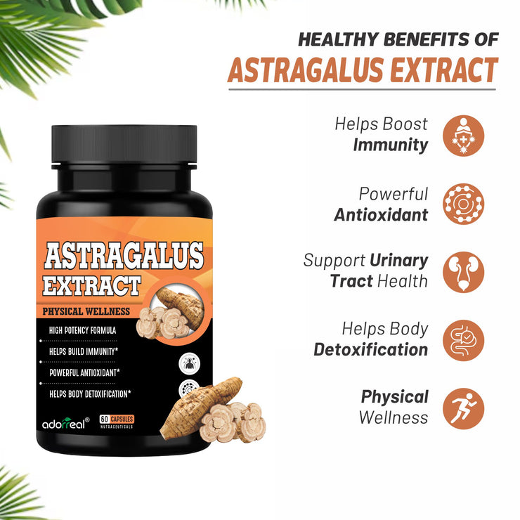 Astragalus Extract -60 Caps