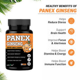 Panax Ginseng Extract  Energy, Focus & Immune Support — 3