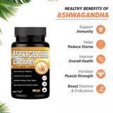 Ashwagandha Extract Capsules (Withania somnifera) — 3