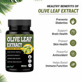 Olive Leaf (Oleuropein20%) Extract — 3