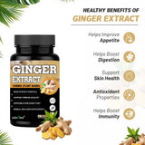 Ginger Extract for Digestive Health,Immunity Support — 3