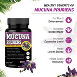 Mucuna Pruriens Kapikachhu Extract — 3