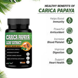 Carica Papaya Leaf Extract — 2